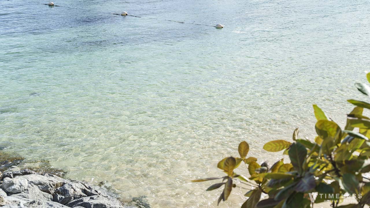 透明度が高いので底までみえる