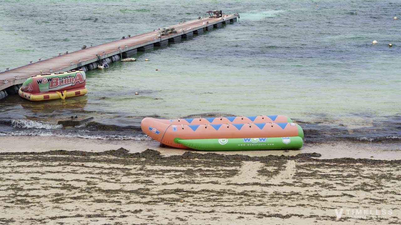 ドラゴンボートとジャイアントブッバ