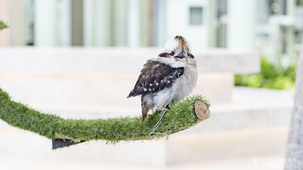 ロビーで出迎えてくれるラッフィー
