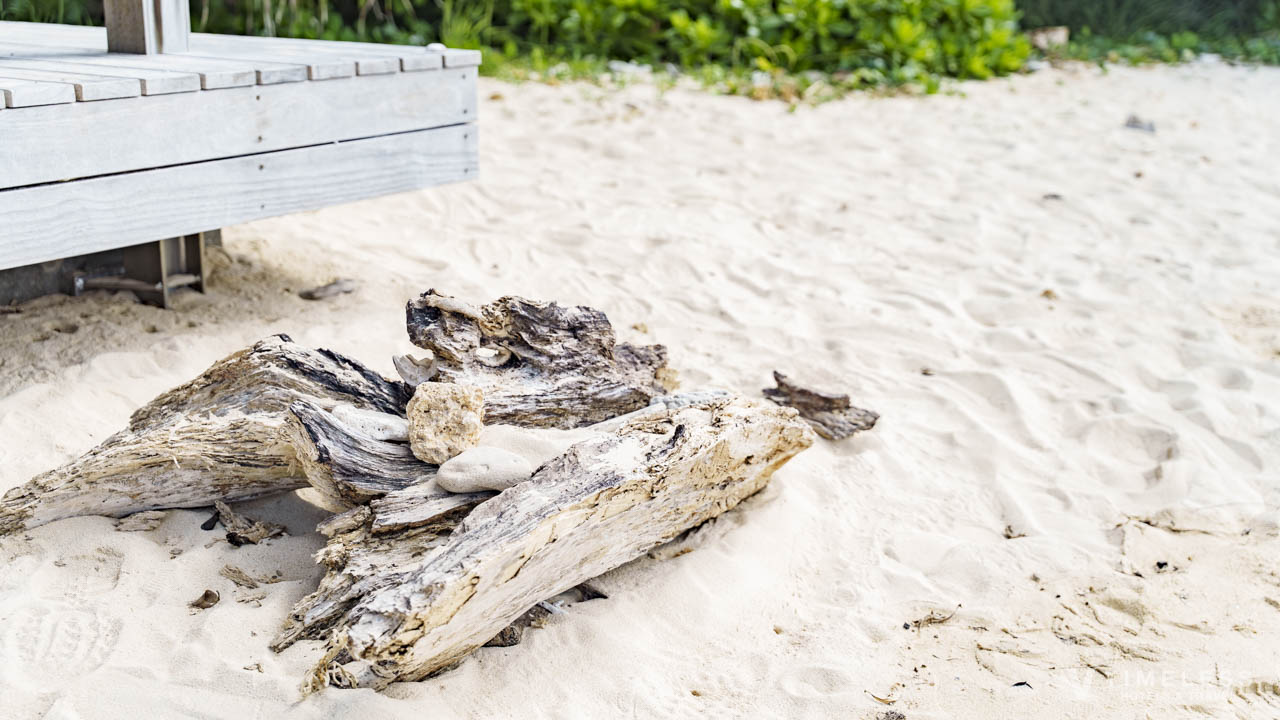 白砂のビーチに佇む流木と岩｜バンタカフェ by 星野リゾート周辺の自然美