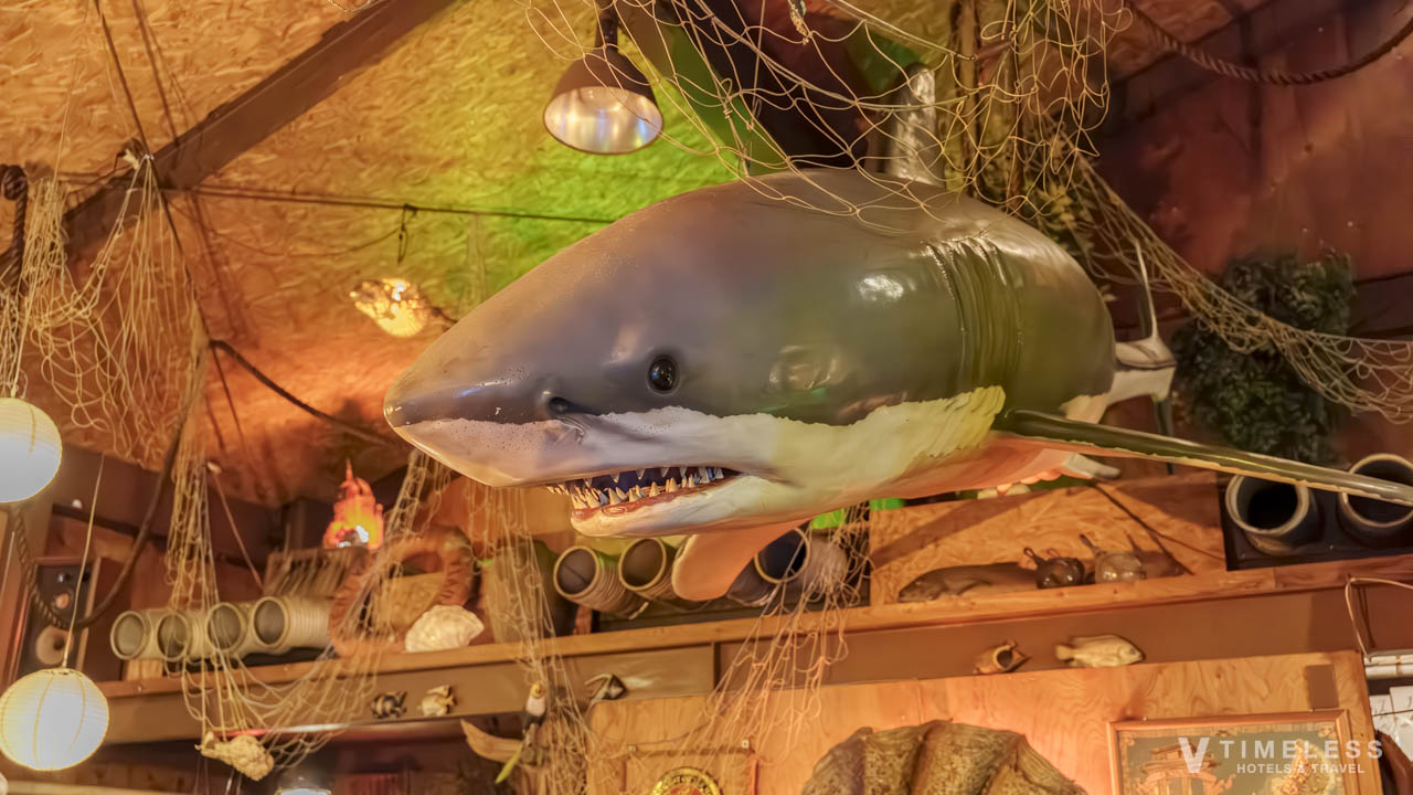 恩納村 ジャムの天井装飾|サメのオブジェが印象的なステーキハウス ジャム 恩納村の内装
