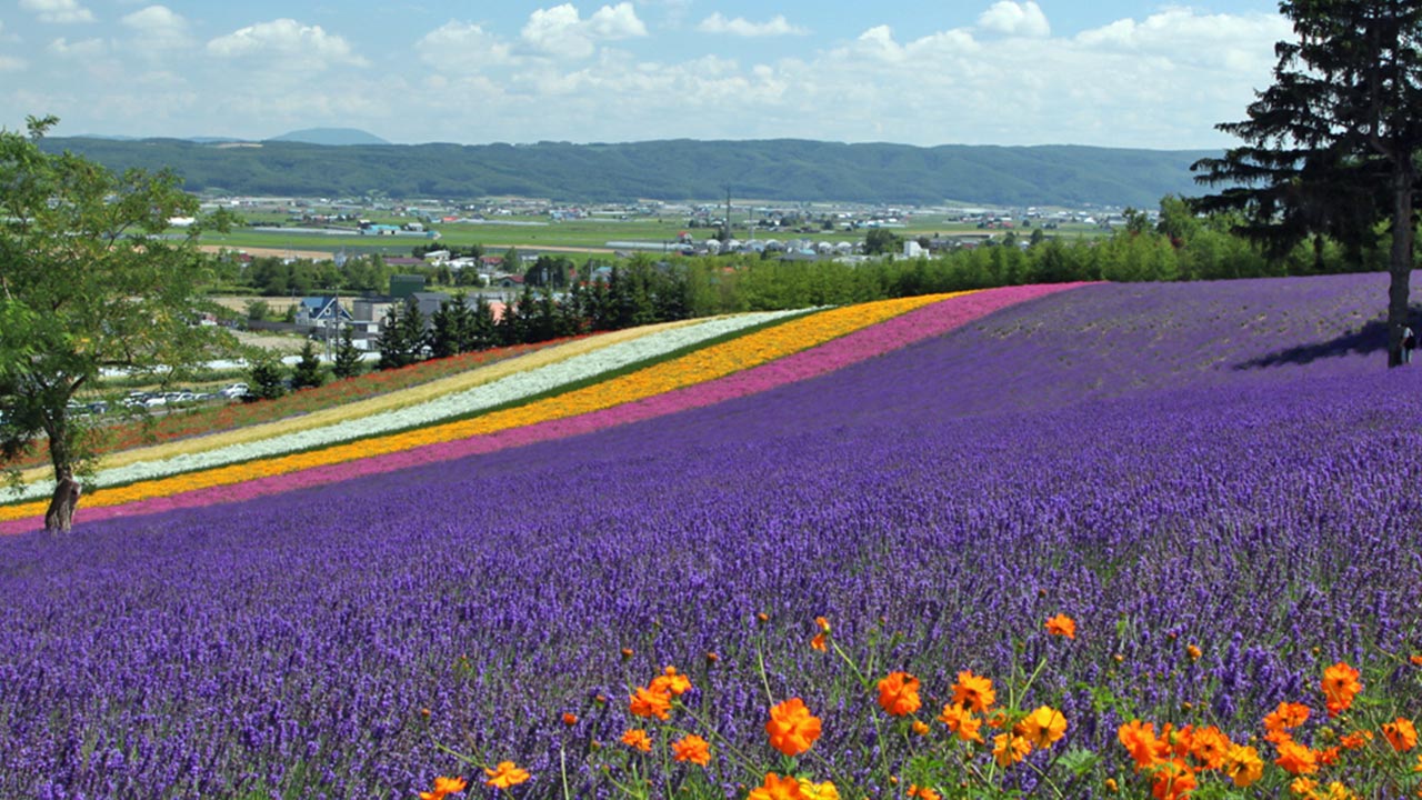 フェアフィールド・バイ・マリオット・北海道南富良野の魅力｜富良野の自然を満喫できる絶景ロケーション