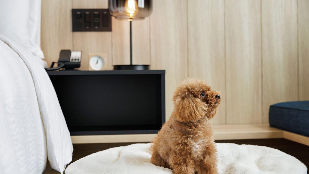 ドッグフレンドリーホテル