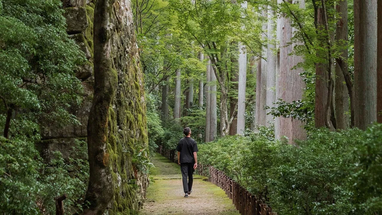 アマン京都の静寂に包まれる、苔むした石垣と美しい森が続く非日常の散策路