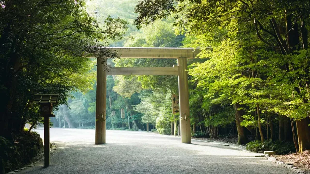 アマネム伊勢志摩の滞在とあわせて訪れたい、神聖な空気に包まれる鳥居。木々の緑と静寂に心が洗われる、伊勢のパワースポット。