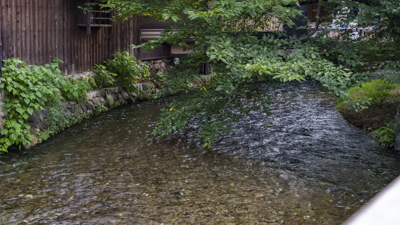石垣のあいだを流れる白川と、岸辺の緑