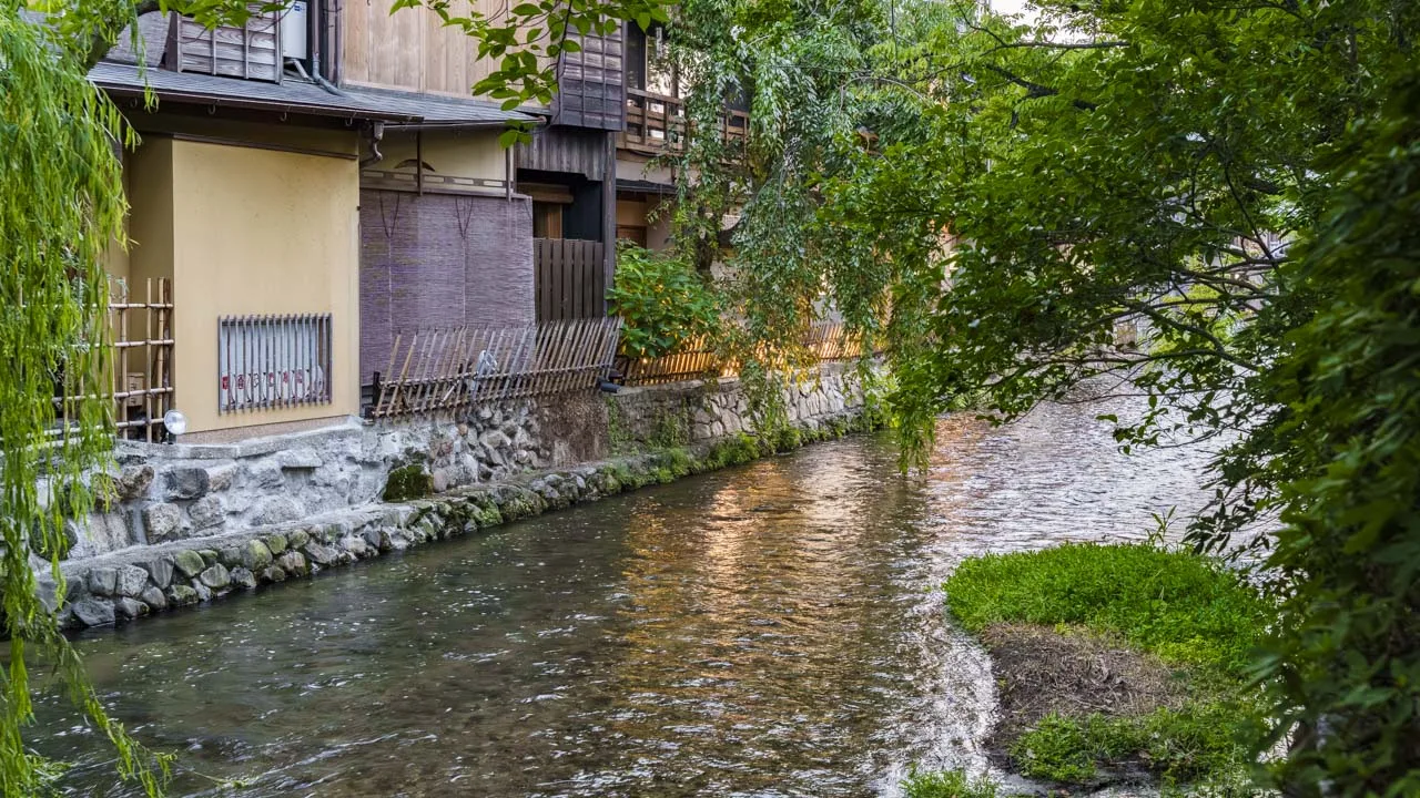 茶屋建築の裏手を洗うように流れる白川