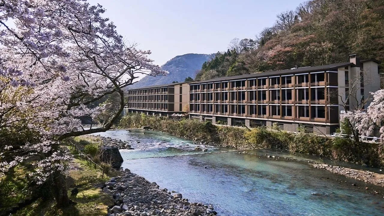 満開の桜と早川の清らかなせせらぎに包まれる、春のホテルインディゴ箱根強羅の美しい外観と自然豊かな風景