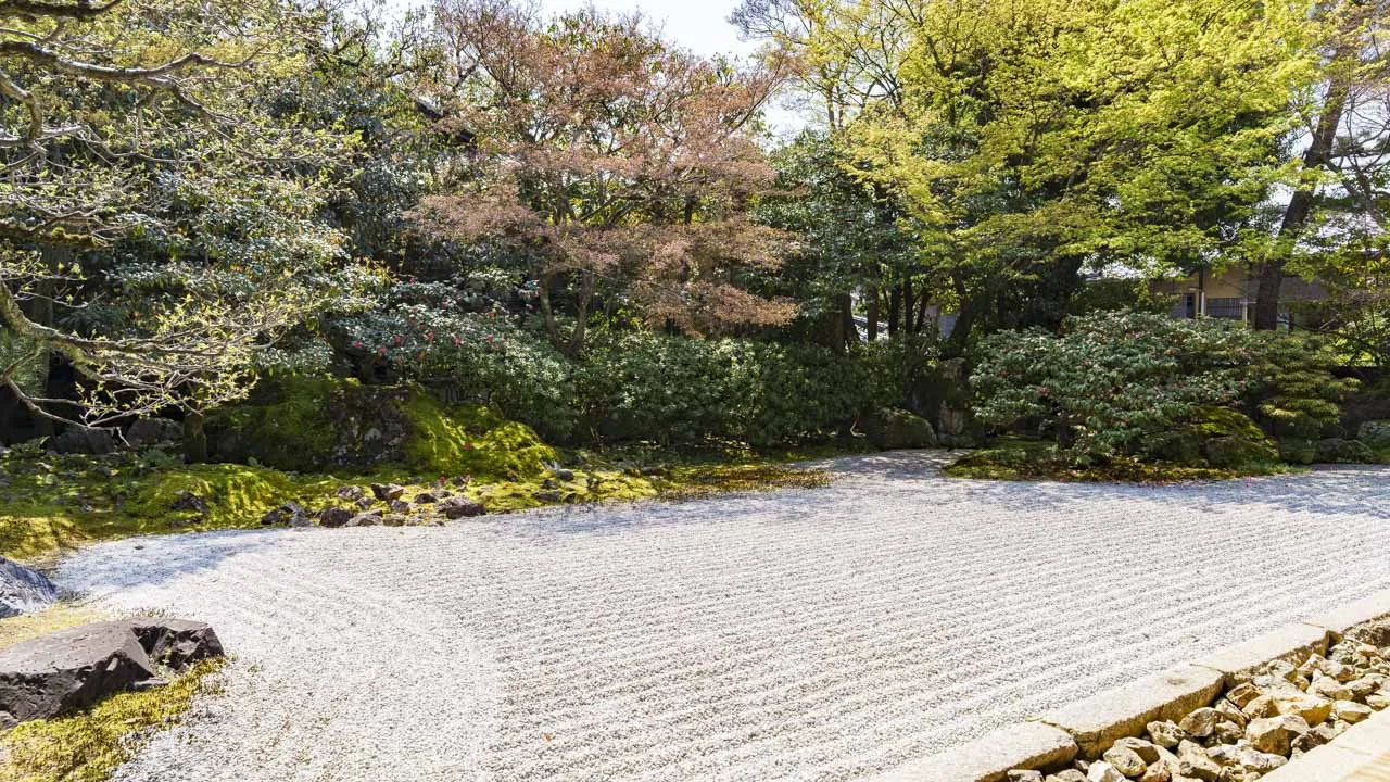 方丈から望む圓徳院の南庭。白砂にまっすぐ引かれた線と刈り込みの緑が、心を静かに整えてくれる