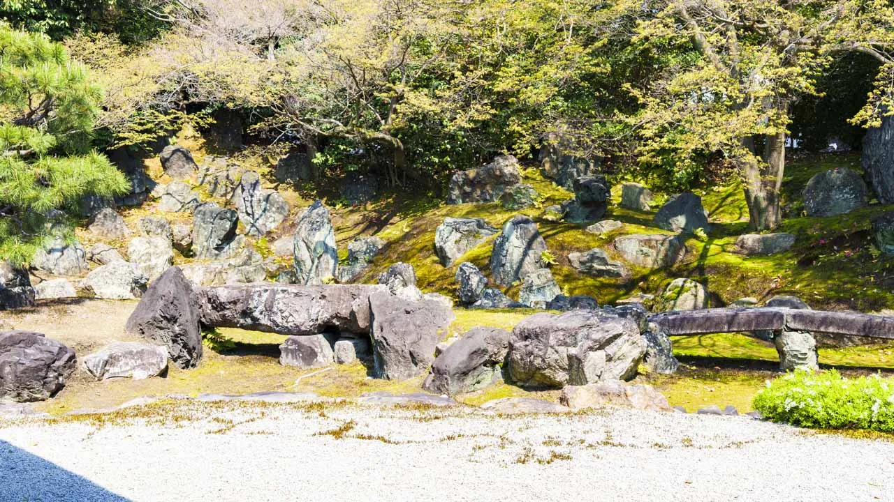 圓徳院の北庭を構成する巨石の石組と苔。四百年前の石が、今日の光をそっと受け止めている