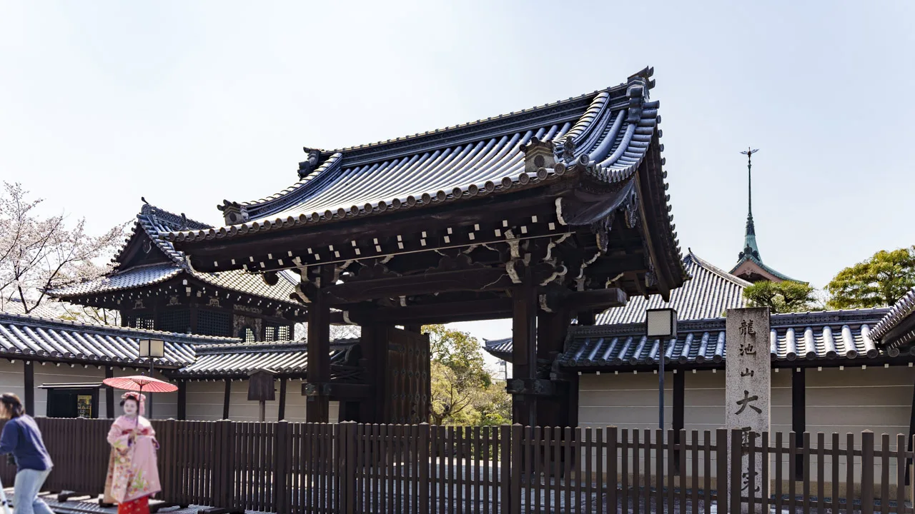 桜の季節の大雲院山門