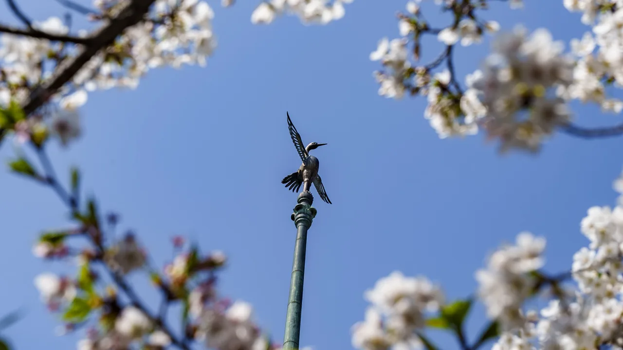 祇園閣の鉾先に羽を広げる金色の鶴