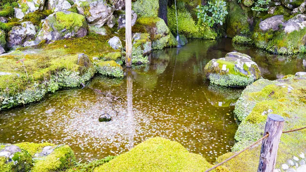 苔むした岩のあいだに水が落ちる洗月泉