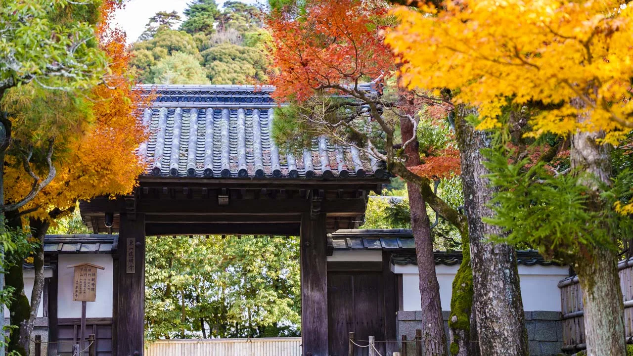 楓が色づく晩秋の総門