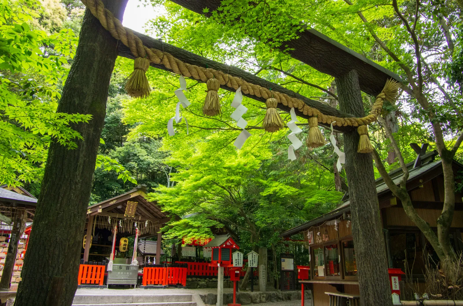 野宮神社の黒木の鳥居