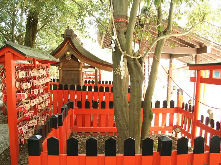 下鴨神社 相生社の連理の賢木