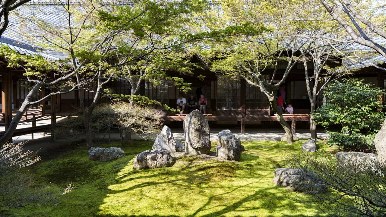新緑のモミジと柔らかな苔に包まれた建仁寺の「潮音庭」。木漏れ日が心地よい回廊から望む癒しの絶景