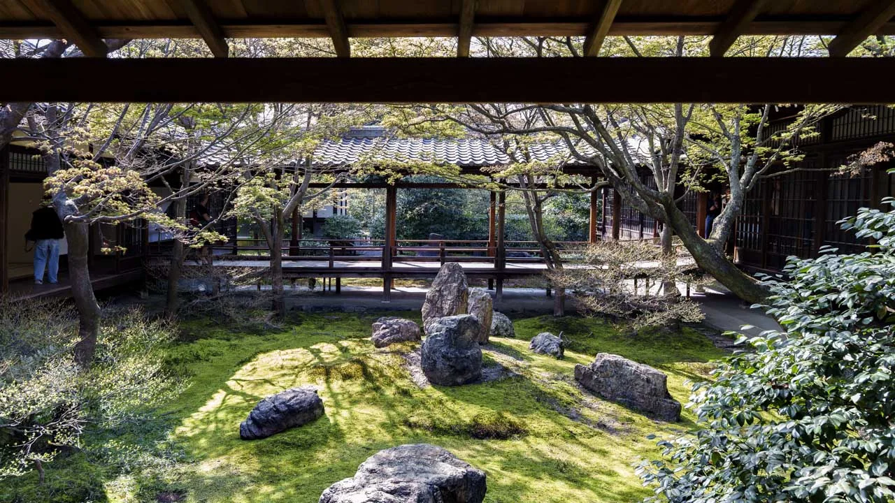 室内から美しい額縁絵のように楽しむ建仁寺の「潮音庭」。四方正面の庭園が魅せる、思わず時を忘れて見入ってしまう情景
