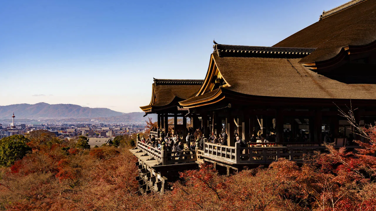 奥の院から望む、紅葉に包まれた清水の舞台