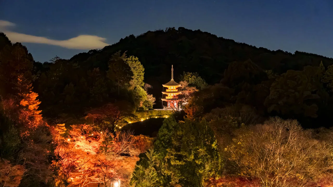 紅葉の谷の向こうに浮かぶ夜の子安塔