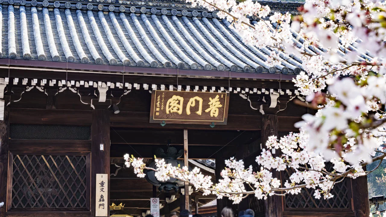 桜に縁どられた轟門の扁額
