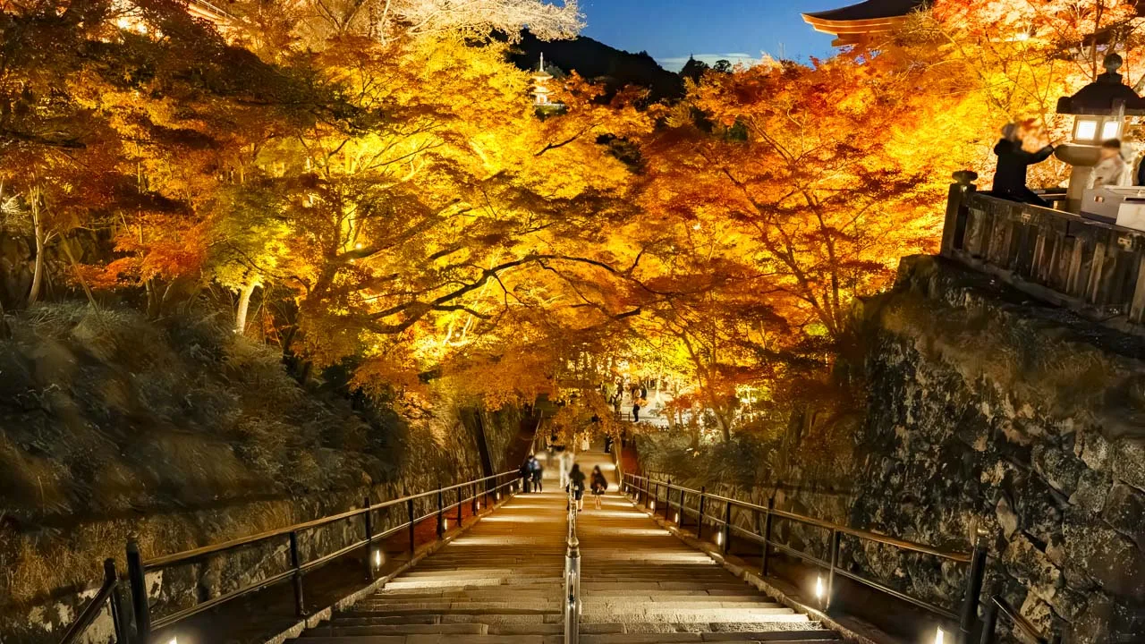 ライトアップされた紅葉のトンネルを下る