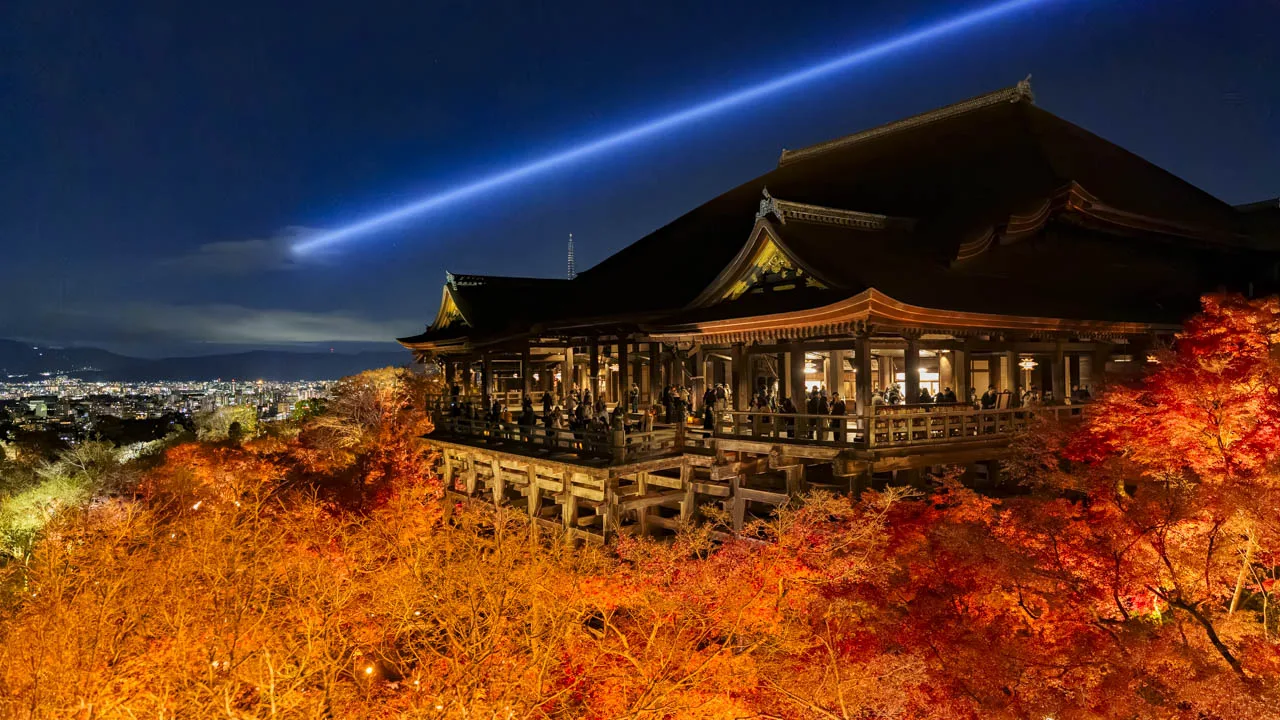 夜空に伸びる青い光と紅葉に包まれた舞台