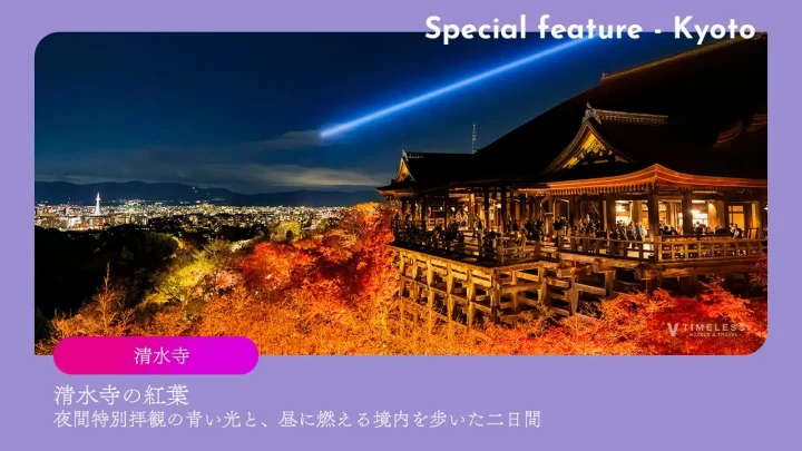 清水寺の紅葉｜夜間特別拝観の青い光と、昼に燃える境内を歩いた二日間