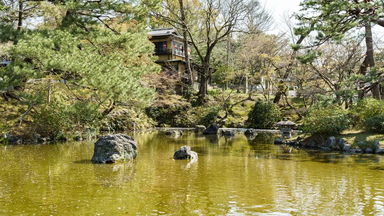 円山公園 池泉回遊式庭園の池と松
