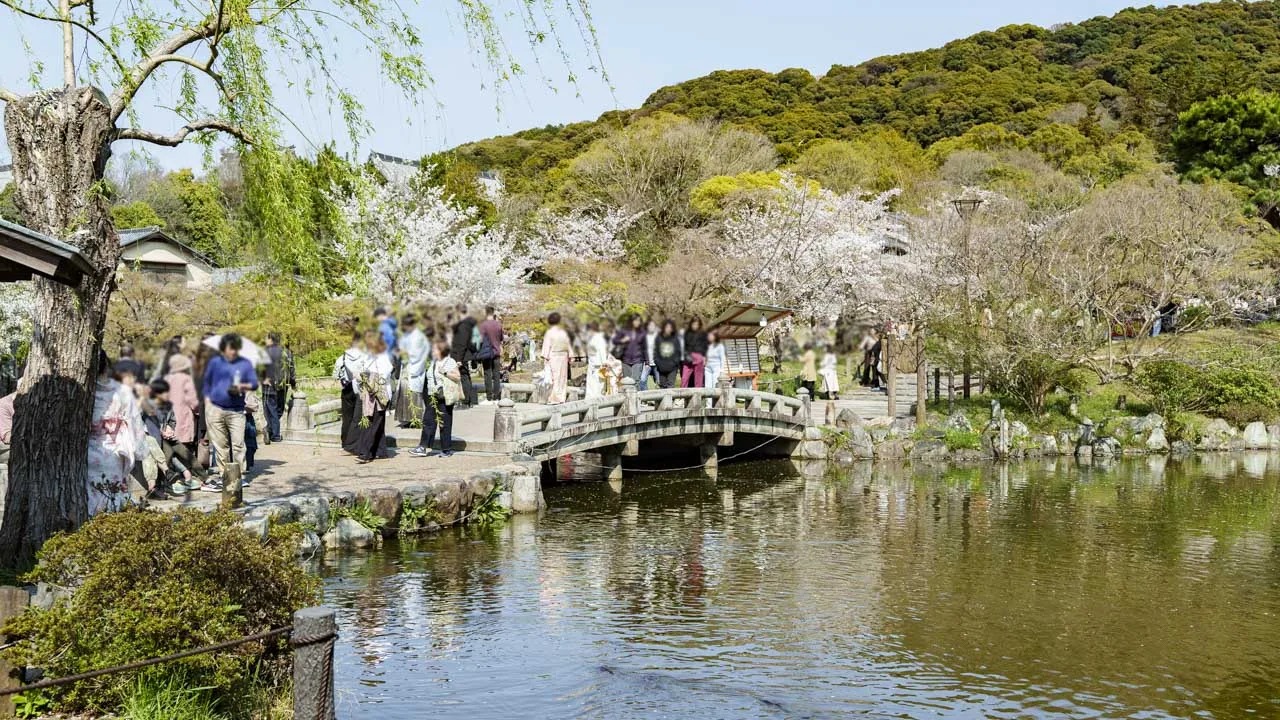 円山公園 夕暮れの池と石橋