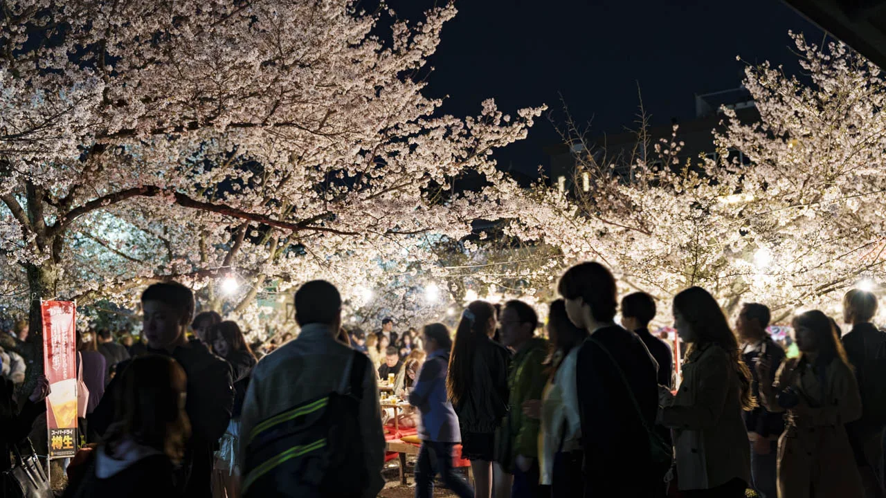 円山公園 夜桜と屋台の灯り