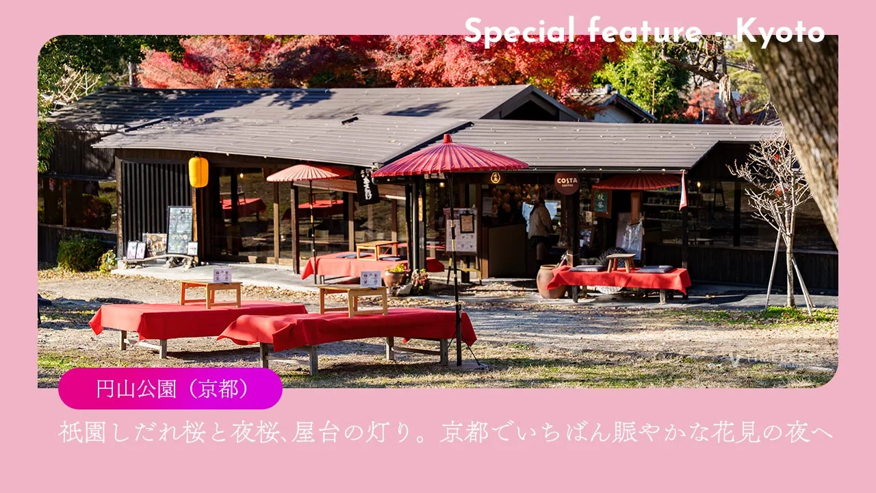 円山公園(京都・祇園)|祇園しだれ桜と夜桜、屋台の灯り。京都でいちばん賑やかな花見の夜へ