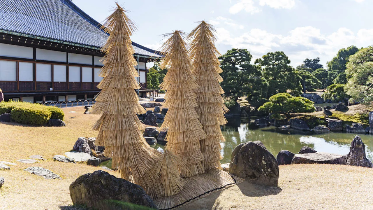 こも巻きをまとった二の丸庭園の蘇鉄