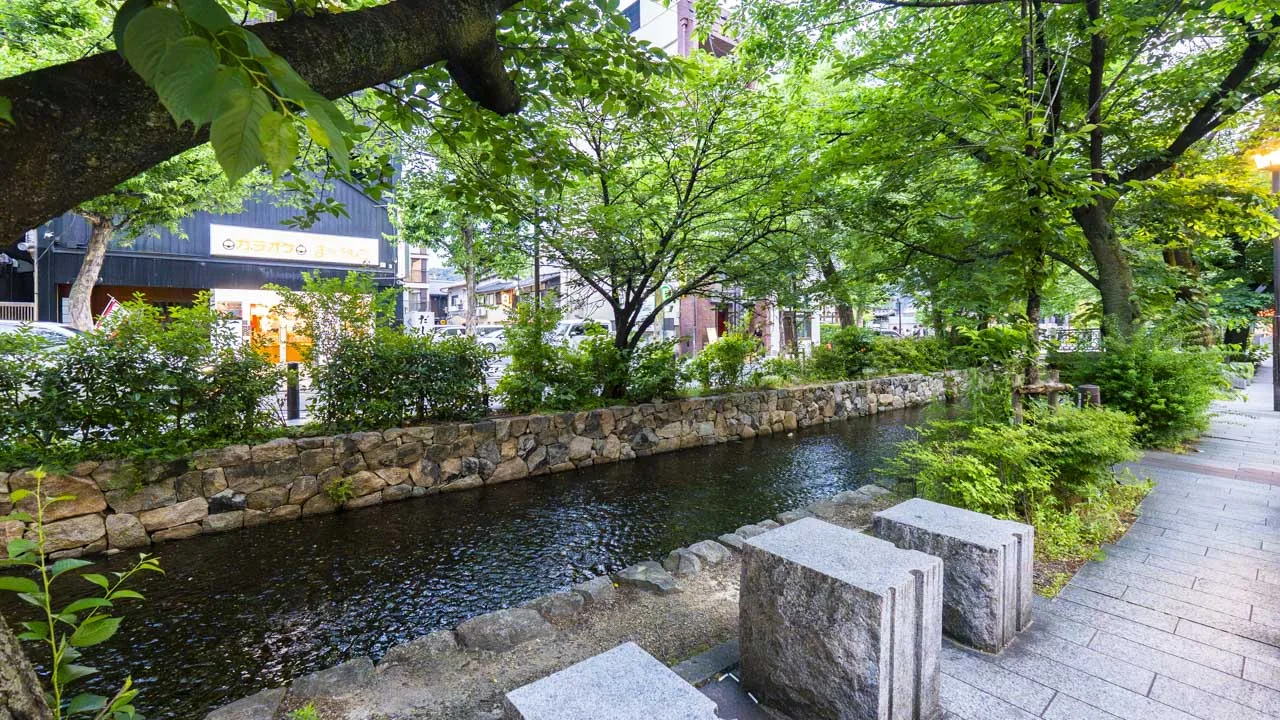 街灯がともりはじめた新緑の高瀬川