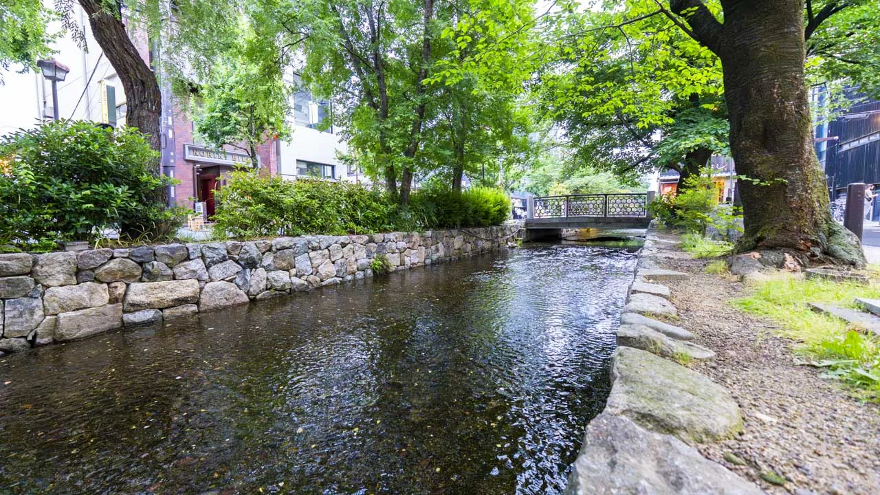 石垣のあいだをゆるやかに流れる高瀬川