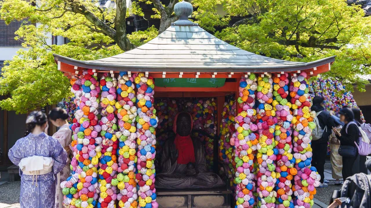 レース着物で巡る初夏の八坂庚申堂。青もみじとカラフルなくくり猿が彩る、私だけの京都ダイアリー