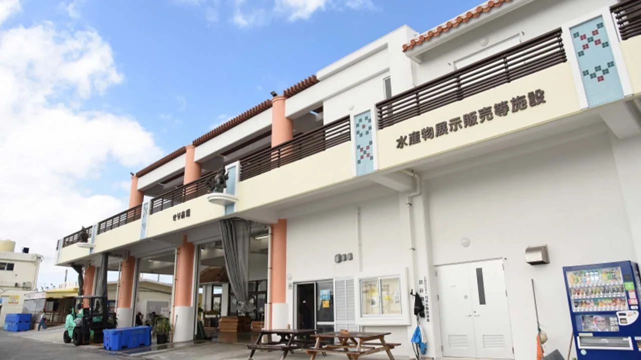 読谷村漁協 いゆの店 海人食堂