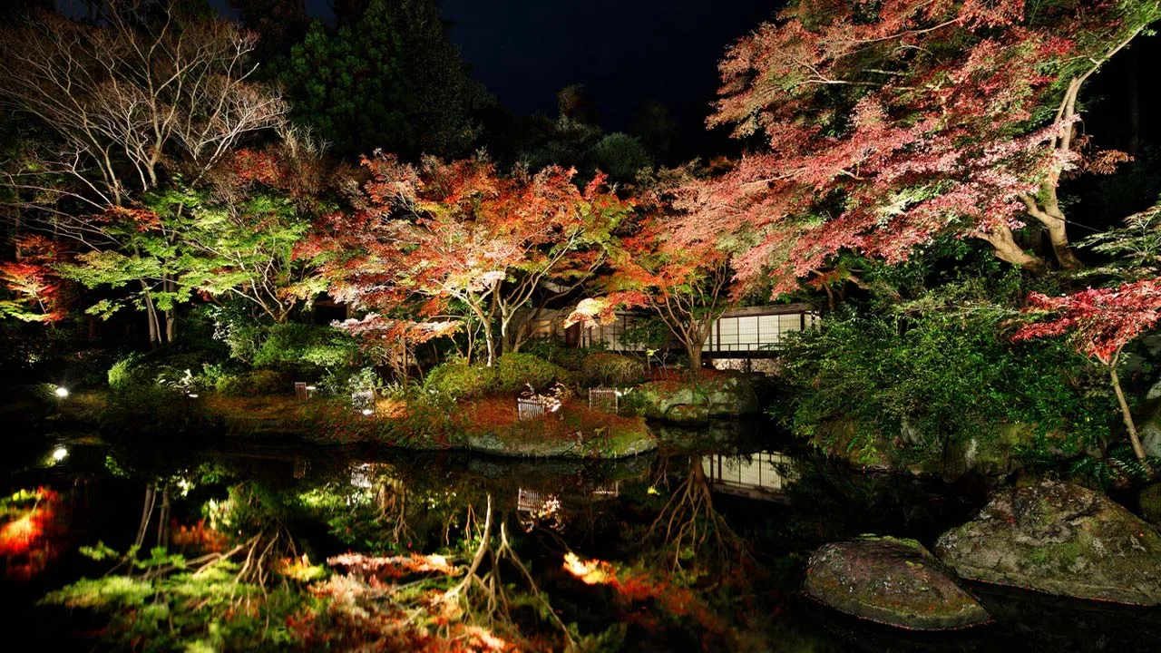 ザ・プリンス 京都宝ヶ池 オートグラフ コレクションの日本庭園。水鏡に映り込む幻想的な紅葉のライトアップが、心奪われるロマンチックな夜を演出します。