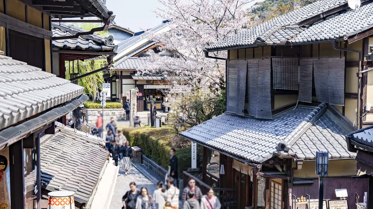 桜の枝越しに見下ろす坂の街並み