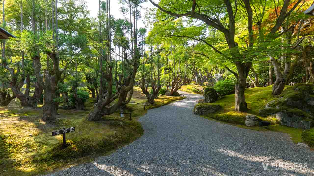 一面の苔と北山台杉が広がるしょうざん庭園