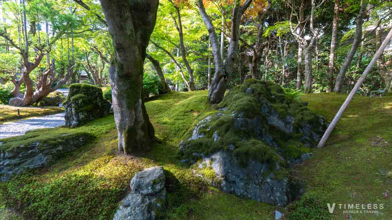 しょうざん庭園の小川と石組みのコントラスト