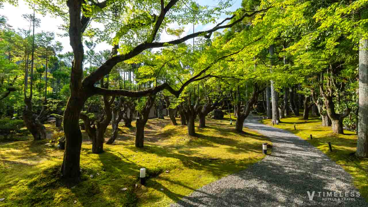北山台杉が立ち並ぶしょうざん庭園の園路