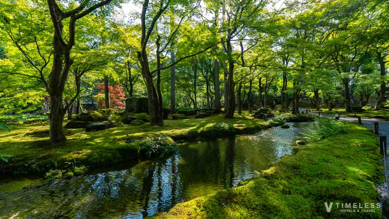 しょうざん庭園の苔の間を流れる小川