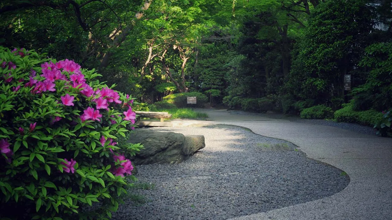 高輪 花香路を彩る豊かな緑と色鮮やかなツツジ。心地よい木漏れ日が降り注ぐ日本庭園で、深呼吸したくなる朝のお散歩を。