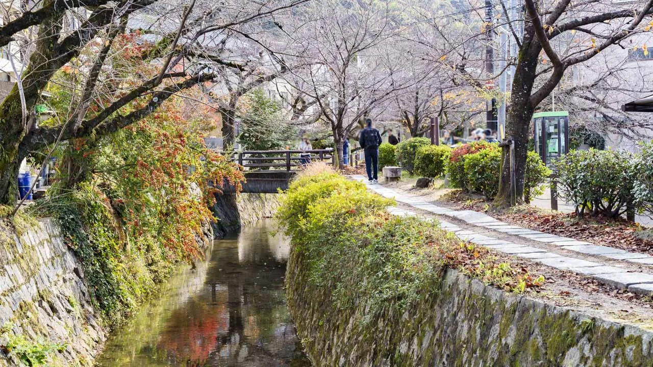 紅葉の残る晩秋の疏水沿いの小径