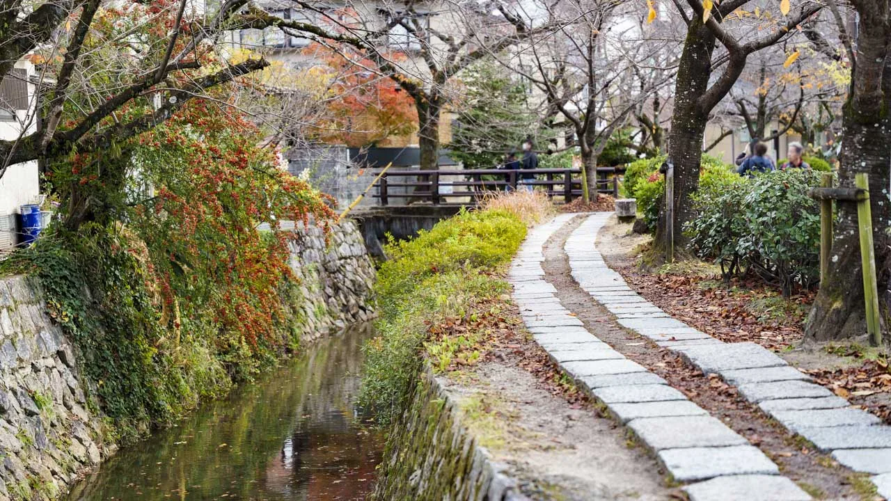 石畳が二筋に延びる晩秋の哲学の道と疏水