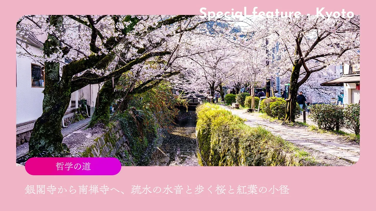 哲学の道|銀閣寺から南禅寺へ、疏水の水音と歩く桜と紅葉の小径